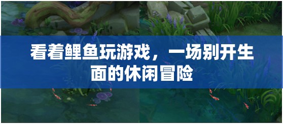 鯉魚之舞，一場別開生面的休閑冒險