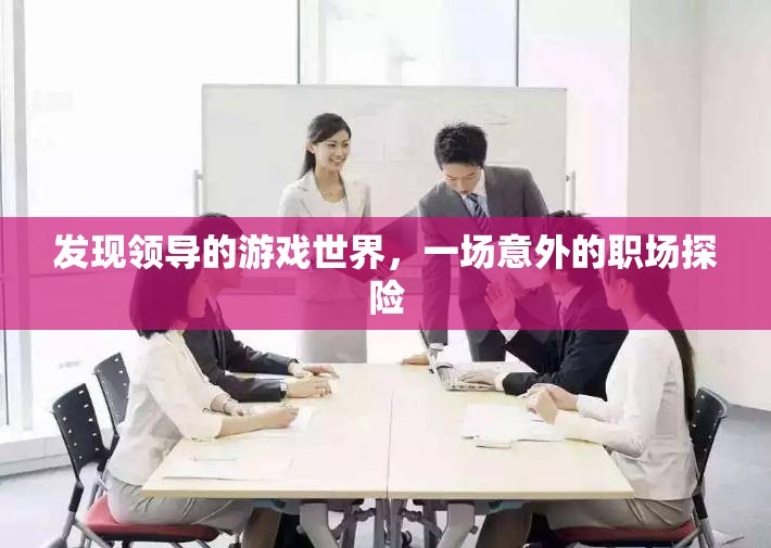 意外職場探險，揭秘領導的游戲世界