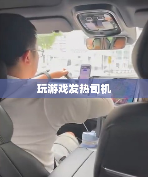 游戲發(fā)燒友，探索游戲世界中的熱情與挑戰(zhàn)