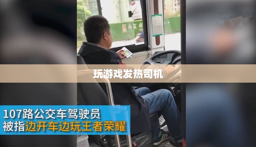 游戲發(fā)燒友，探索游戲世界中的熱情與挑戰(zhàn)