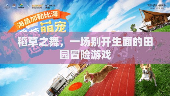 稻草之舞，一場別具一格的田園冒險之旅