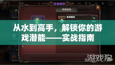 解鎖游戲潛能，從新手到高手的實(shí)戰(zhàn)指南