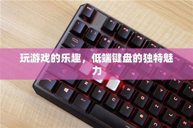 低端鍵盤的獨(dú)特魅力，解鎖游戲樂趣的秘密