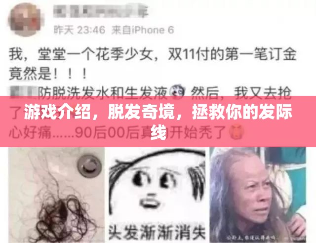 拯救發(fā)際線，探索脫發(fā)奇境的冒險之旅