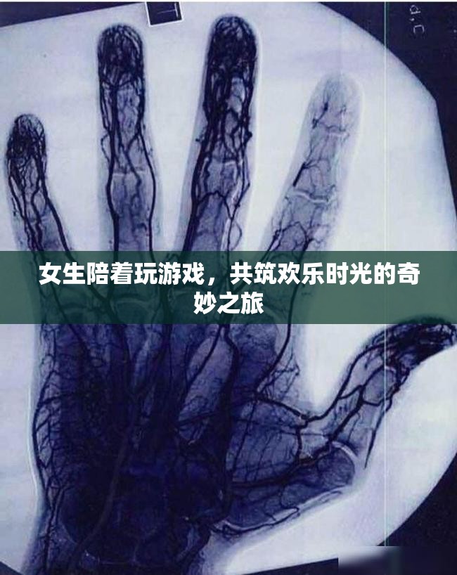 女生相伴，共筑歡樂時(shí)光的奇妙游戲之旅