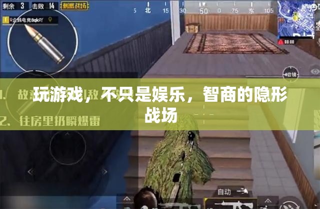 游戲，娛樂與智商的隱形戰(zhàn)場