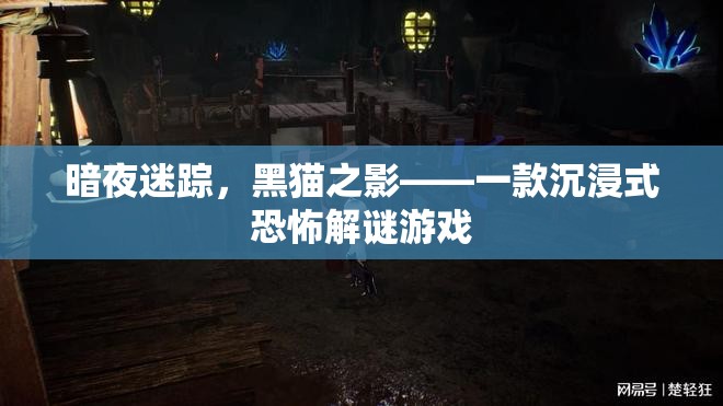 黑貓之影，暗夜迷蹤的恐怖解謎之旅