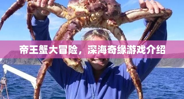 深海奇緣，帝王蟹的冒險(xiǎn)之旅