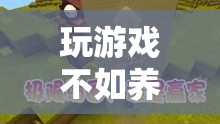 從游戲到養(yǎng)豬，一場關(guān)于生活與樂趣的深度探索