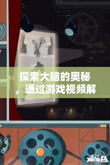 游戲視頻，解鎖大腦認(rèn)知潛能的奇妙之旅