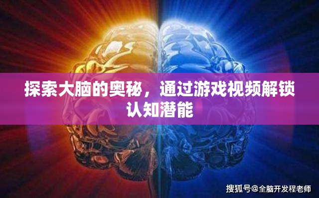 游戲視頻，解鎖大腦認(rèn)知潛能的奇妙之旅