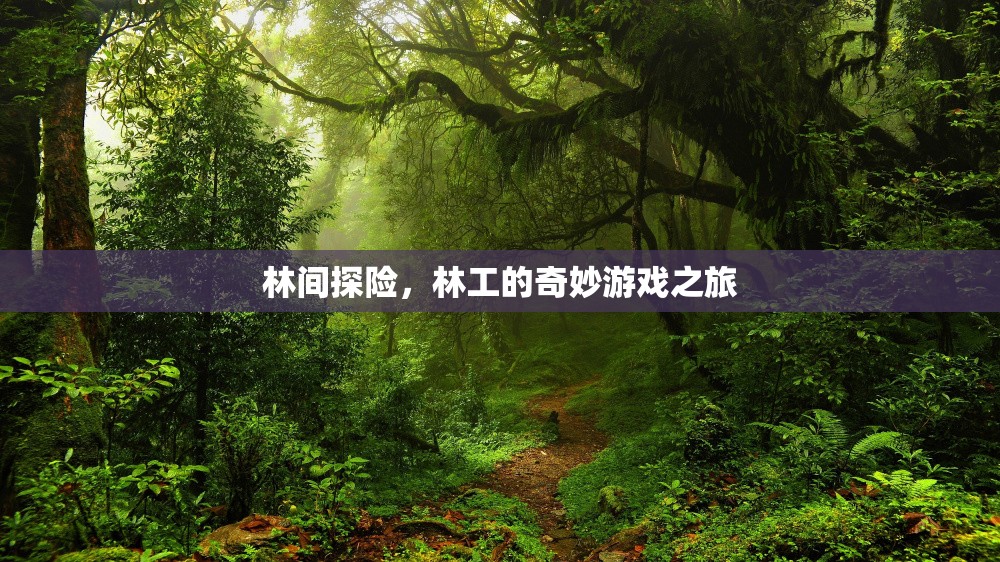 林間探險(xiǎn)，林工的奇妙游戲之旅