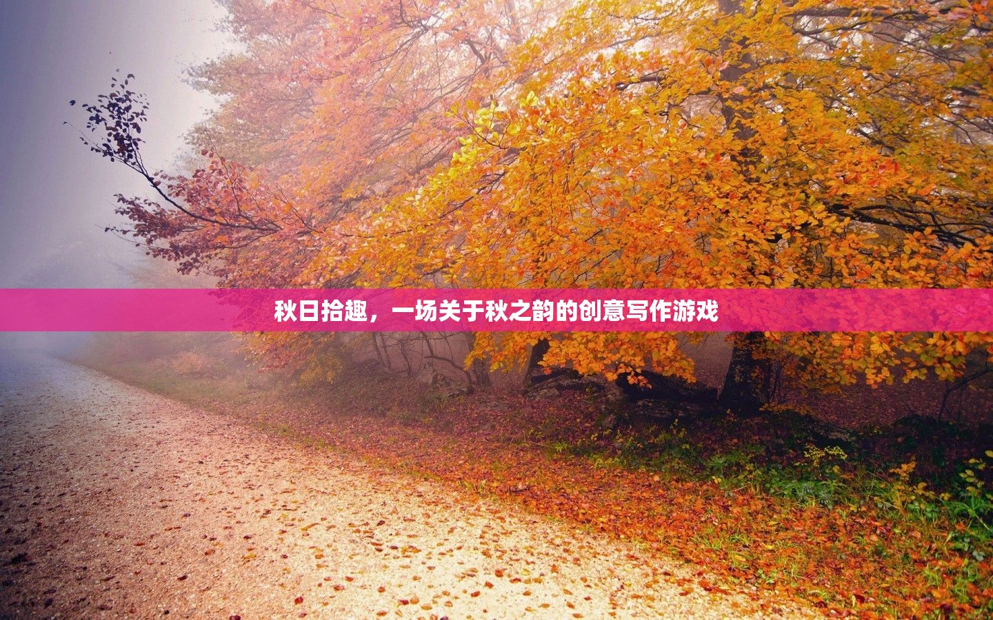 秋日拾趣，解鎖秋之韻的創(chuàng)意寫作之旅