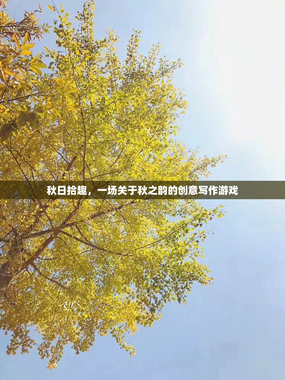 秋日拾趣，解鎖秋之韻的創(chuàng)意寫作之旅
