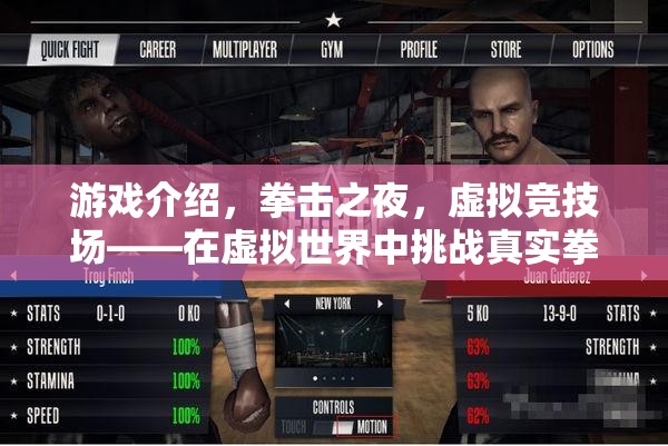 拳擊之夜，挑戰(zhàn)虛擬競技場，超越現(xiàn)實的拳擊對決