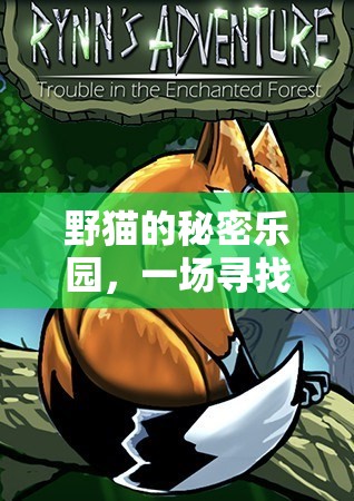 野貓的秘密樂園，一場尋覓與互動的奇妙探險