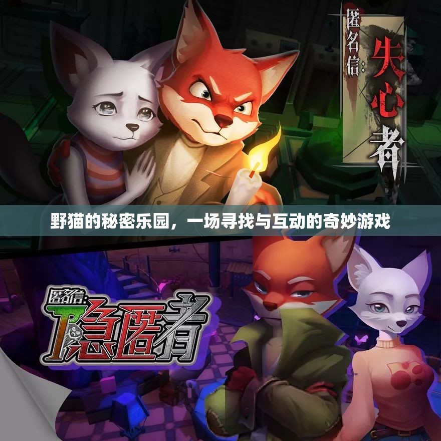 野貓的秘密樂園，一場尋覓與互動的奇妙探險