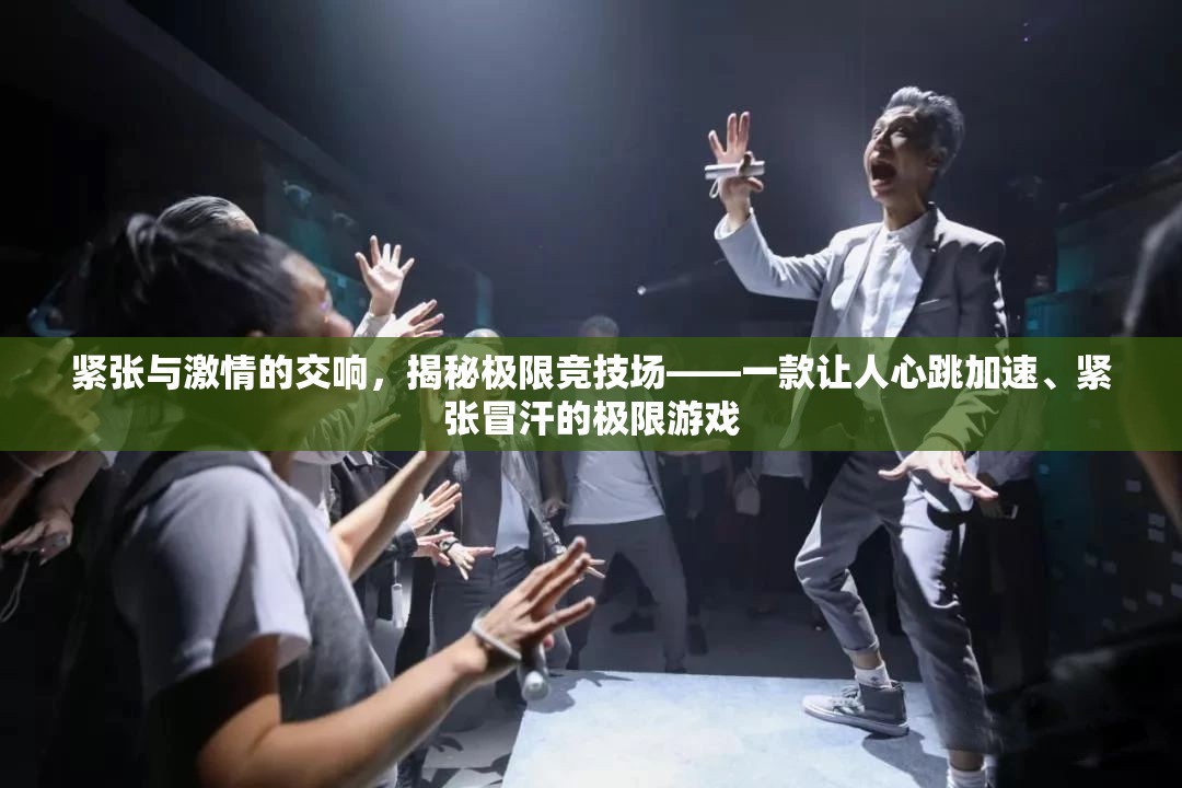 極限競(jìng)技場(chǎng)，心跳加速的緊張與激情