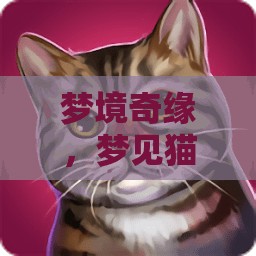 夢境奇緣，與貓共舞的奇幻之旅