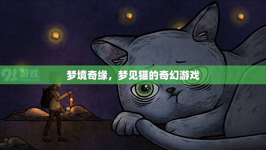 夢境奇緣，與貓共舞的奇幻之旅