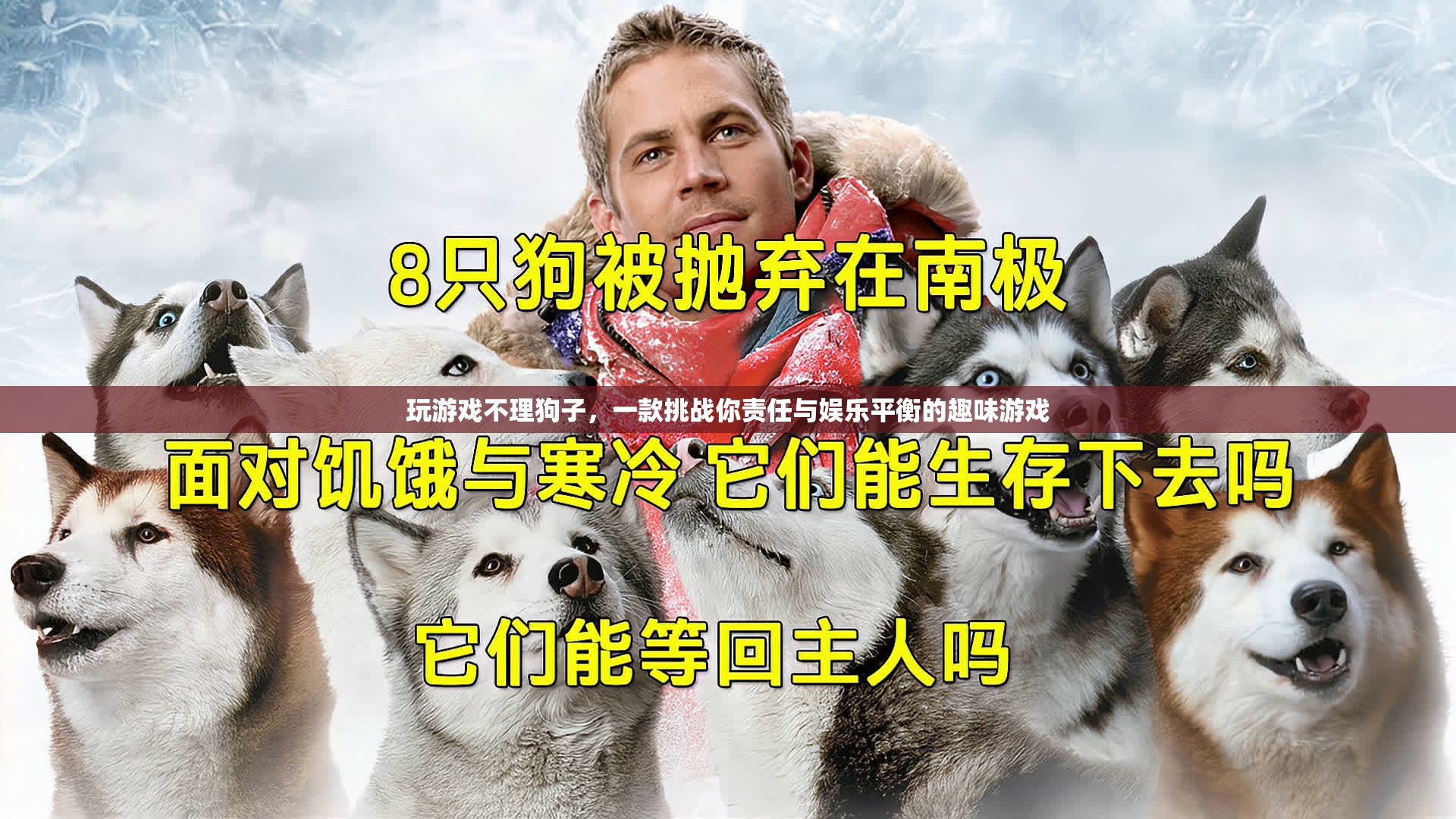 游戲與責(zé)任，在娛樂與照顧之間尋找平衡