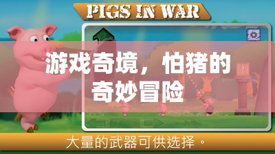 豬的奇妙冒險(xiǎn)，游戲奇境的未知挑戰(zhàn)