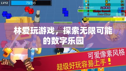 數(shù)字樂園的探險家，林愛的游戲之旅