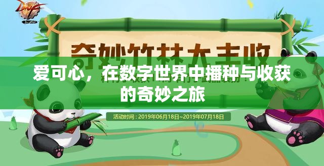 愛可心，在數(shù)字世界中播種與收獲的奇妙旅程