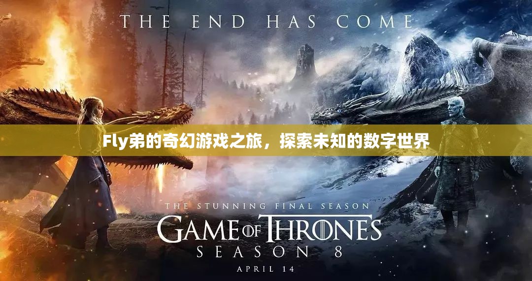 Fly弟的奇幻數(shù)字世界探險(xiǎn)，解鎖未知的數(shù)字奧秘