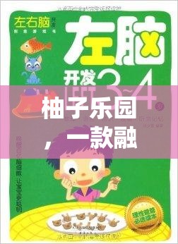 柚子樂園，創(chuàng)意與想象的奇妙游戲之旅