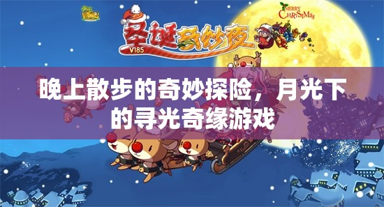 月光下的尋光奇緣，一次夜晚散步的奇妙探險(xiǎn)
