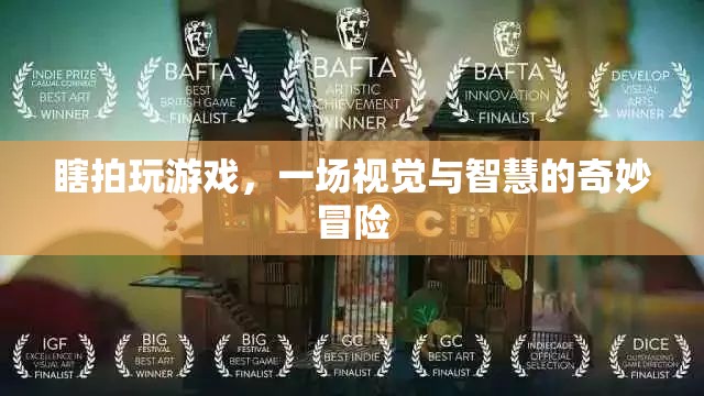 瞎拍游戲，視覺與智慧的奇妙冒險(xiǎn)之旅