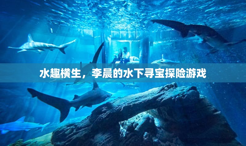 李晨的水下尋寶，一場(chǎng)驚心動(dòng)魄的探險(xiǎn)之旅