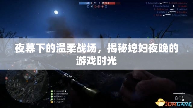夜幕下的溫柔戰(zhàn)場(chǎng)，揭秘媳婦夜晚的秘密游戲時(shí)光