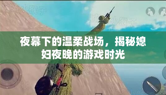 夜幕下的溫柔戰(zhàn)場(chǎng)，揭秘媳婦夜晚的秘密游戲時(shí)光