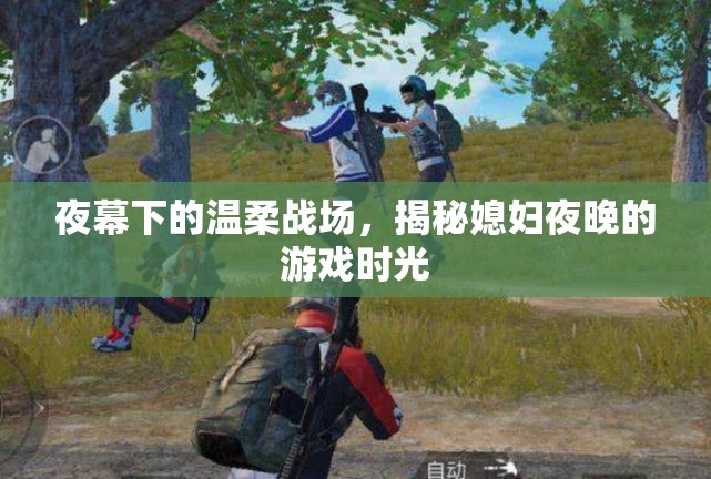 夜幕下的溫柔戰(zhàn)場(chǎng)，揭秘媳婦夜晚的秘密游戲時(shí)光