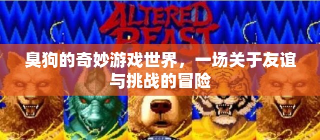 臭狗的奇幻冒險(xiǎn)，友誼與挑戰(zhàn)的奇妙游戲世界