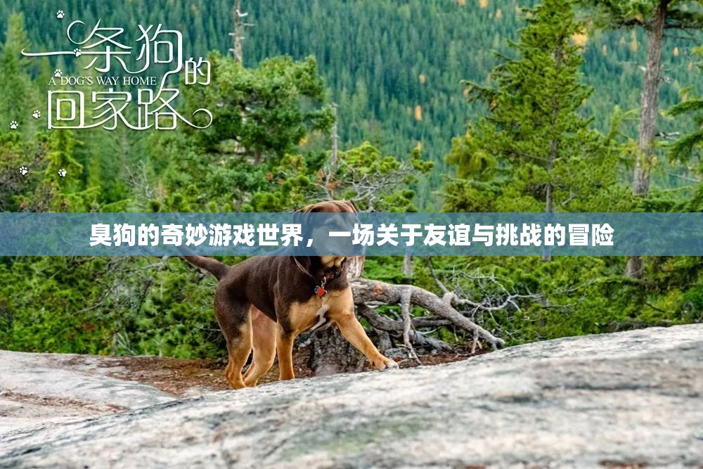臭狗的奇幻冒險(xiǎn)，友誼與挑戰(zhàn)的奇妙游戲世界