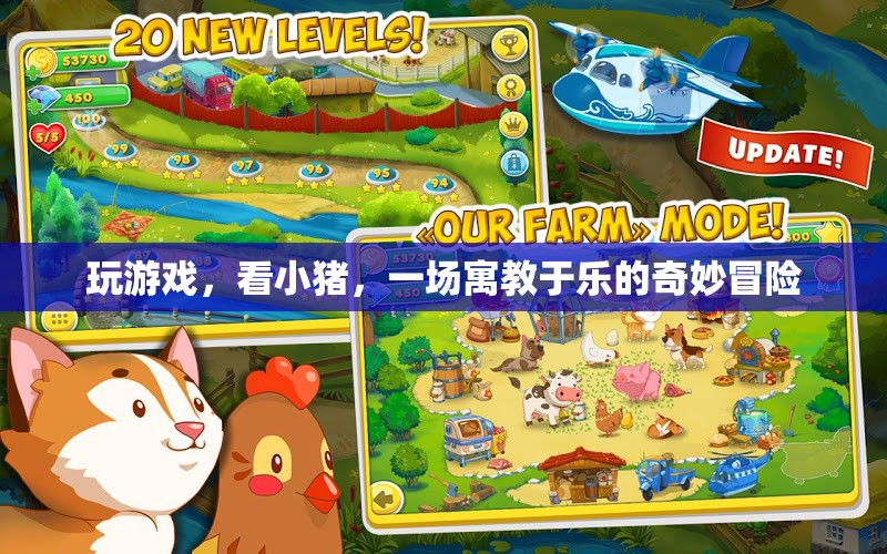 寓教于樂(lè)，小豬探險(xiǎn)的奇妙游戲之旅