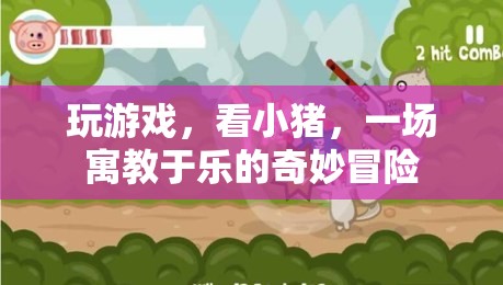 寓教于樂(lè)，小豬探險(xiǎn)的奇妙游戲之旅