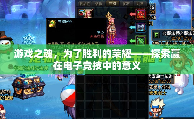 游戲之魂，探索電子競(jìng)技中勝利的榮耀與意義