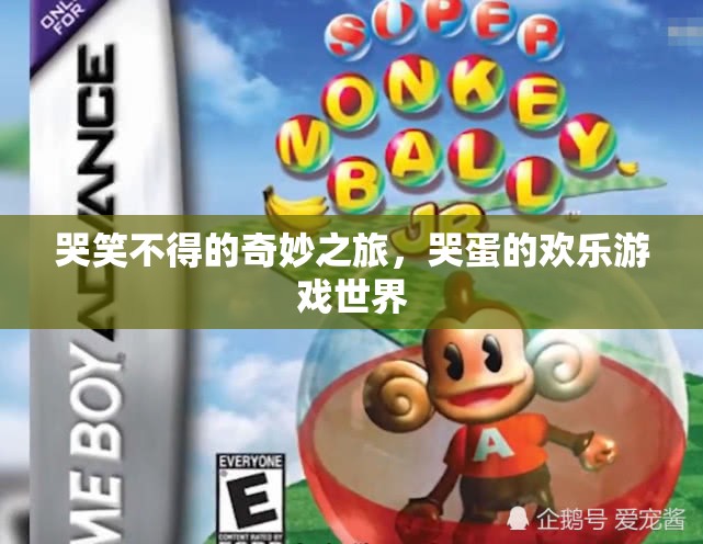 哭笑不得的奇妙之旅，哭蛋的歡樂游戲世界