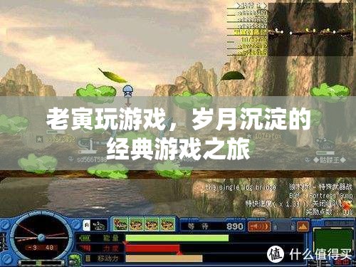 老寅的經(jīng)典游戲之旅，歲月沉淀的歡樂與回憶