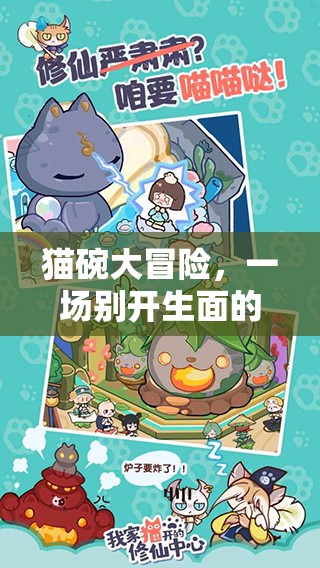 貓碗大冒險，家庭趣味游戲新篇章