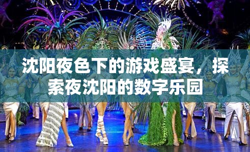 夜沈陽的數(shù)字樂園，探索沈陽夜色下的游戲盛宴