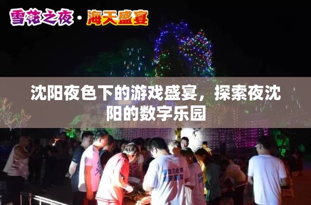 夜沈陽的數(shù)字樂園，探索沈陽夜色下的游戲盛宴