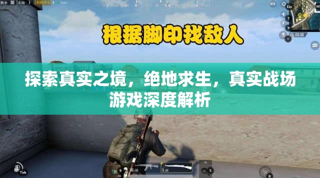 絕地求生，真實(shí)戰(zhàn)場游戲的深度探索與解析