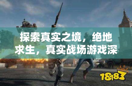 絕地求生，真實(shí)戰(zhàn)場游戲的深度探索與解析
