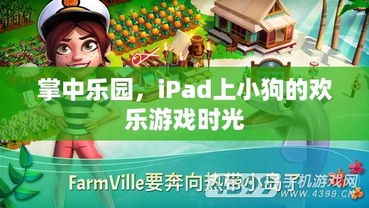 iPad上的掌中樂園，小狗的歡樂游戲時光