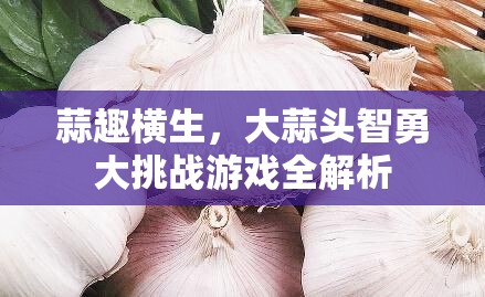 蒜趣橫生，大蒜頭智勇大挑戰(zhàn)游戲深度解析